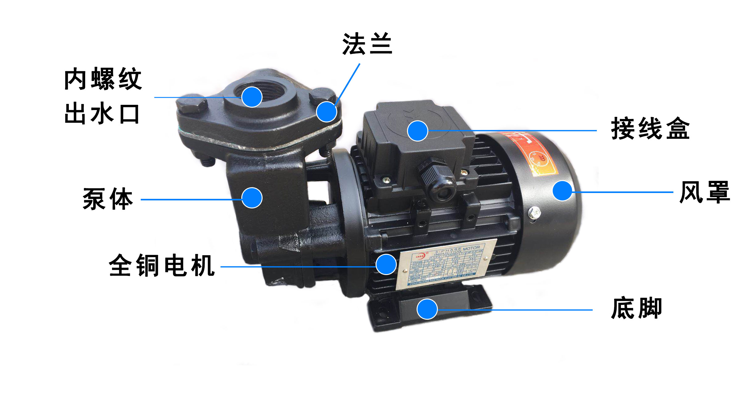 TS63�Y(ji��)��(g��u)�D